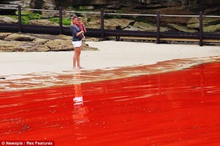 Mother and child looking at the red beach