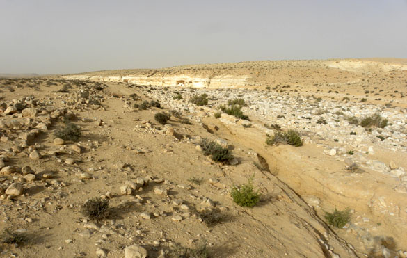 WadiZin031412 _ httpswoostergeologists.scotblogs.wooster.edufiles201203WadiZin031412.